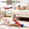 290c20ff-7213-4715-aa17-e24e29b3272c.jpg Cat Toys Saury Fish, 3 Pack, Catnip Crinkle Sound, Soft And Durable, Interactive Kitten Kicker For Indoor Kitty
