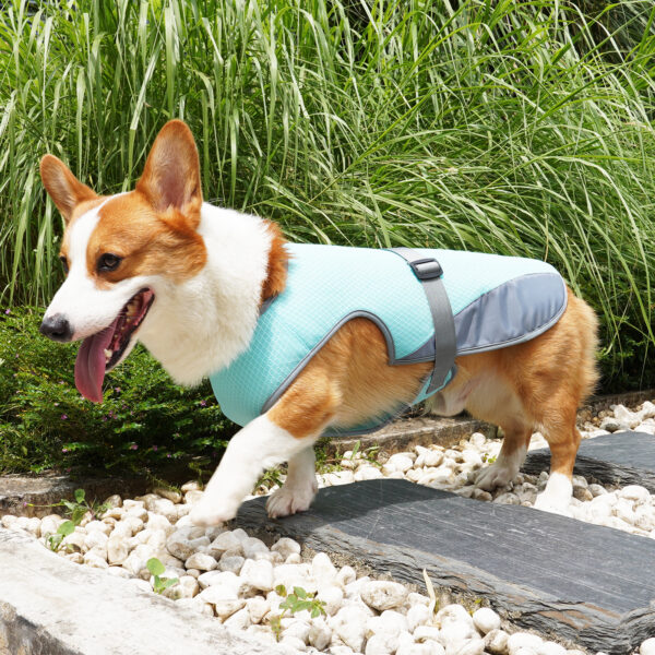 587620233 Pet Cooling Clothing Dog Clothing Pet Cooling Pet Supplies