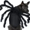 Halloween pet prop bat wings