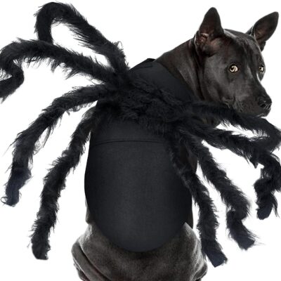 587693187 Halloween pet prop bat wings