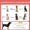 Dog Cot Cooling Pet Bed