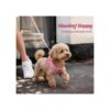 2c0ea088-80f5-4281-b433-e38bac79f2b8.jpg No Pull Dog Puppy Harness And Leash Set Reflective Mesh Vest