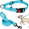 Collar Pet Supplies Nylon Collar Adjustable Traction Rope Reflective Collar Set Dog Leash