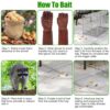 33a4cbcb-64f3-44d5-8c53-4b462d3fd27f.jpg 1Pc Humane Cat Trap Cage With Gloves Catch Release Live Animal Rodent Cage Collapsible Galvanized Wire For Raccoons Beavers Groundhogs Foxes Armadillos