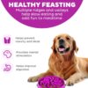 33adf82a-320f-42a2-b141-509483985c41.jpg Hound Feeder Slo Bowl Large 4 Cup Capacity, Slow Feeding, Medium To Large Dogs, Non Slip, Purple, Flower Pattern