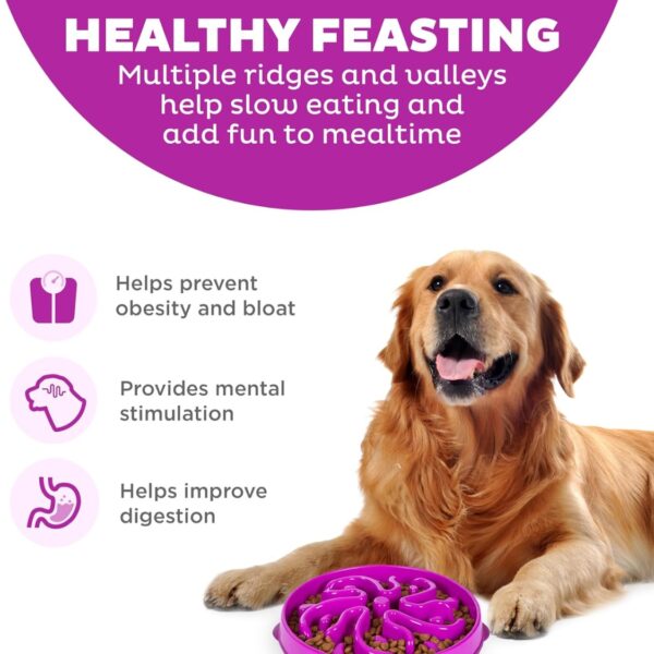 33adf82a-320f-42a2-b141-509483985c41.jpg Hound Feeder Slo Bowl Large 4 Cup Capacity, Slow Feeding, Medium To Large Dogs, Non Slip, Purple, Flower Pattern