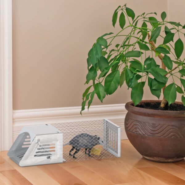 37430394-3d58-48ef-9c75-4dc664ff7ff6.jpg 2Pcs Humane Mouse Trap Cage No Assembly Need Automatic Continuous Rat Trap With Single Way Door Reusable Catch And Release Live Cage Trap For Rodents Moles Voles Mice For Spring Summer