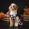 587692313 Pet Halloween Costume Dog Dress for Halloween Party Pet Apparel