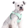 Pet Chest Strap New Macaron Fresh Summer Vest-Style Dog Leash Pet Supplies