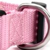 3868723157812.jpg New Pet Collar