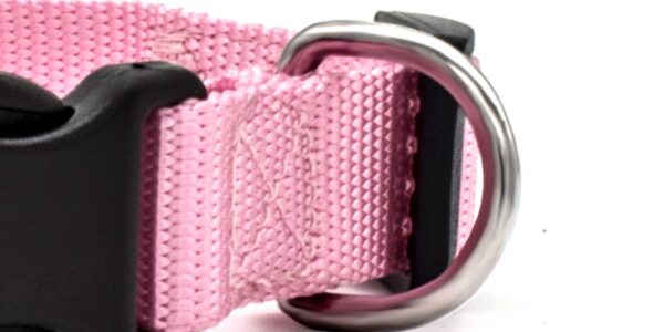 3868723157812.jpg New Pet Collar