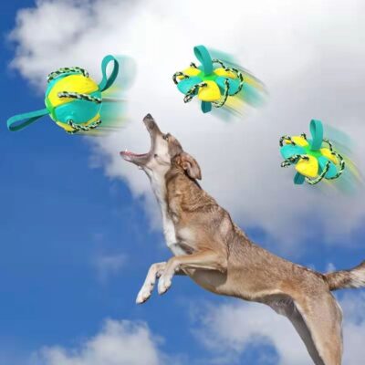 587638472 Pet Supplies Throwing Frisbee Outdoor Training Interactive Frisbee Football Dog Toy