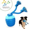 426a1ab2-4501-42cc-8db9-122e0f9223d1.jpg 2026 Upgraded Smart Interactive Dog Toy Ball Boosts Intelligence Fitness For Small Medium Large Dogs Fits Indoor Hardwood Floors Outdoor Carpet Randomly Comes With 1 Spare Chew Rope