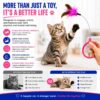 495652b0-d40e-4dfc-b671-822984624775.jpg Wearable Cat Feather Collar Toy Interactive Neck-Worn Cat Teaser Automatic Exercise Toy Boosts Pet Activity Levels