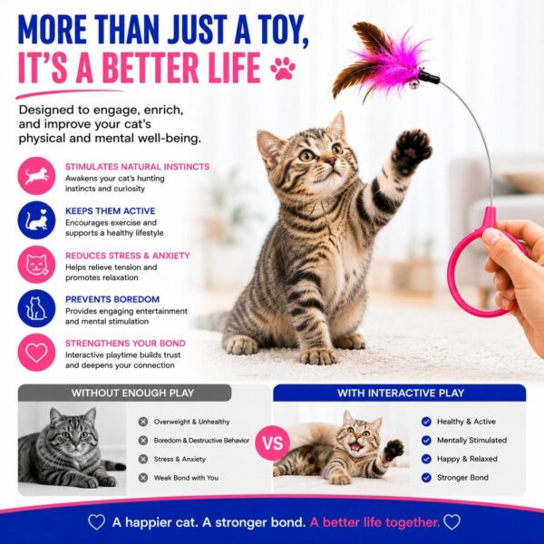 495652b0-d40e-4dfc-b671-822984624775.jpg Wearable Cat Feather Collar Toy Interactive Neck-Worn Cat Teaser Automatic Exercise Toy Boosts Pet Activity Levels