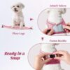 49c2c9c6-b395-4b81-ab46-3c78ac34447a.jpg No Pull Dog Puppy Harness And Leash Set Reflective Mesh Vest