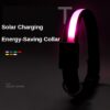 587639314 LED solar luminous collar charging flash collar Teddy luminous neck rope pet supplies dog collar accessories