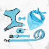 Printed Six-Piece Pet Supplies Comfortable Polyester Dog Strap With Double-Sided Printing Dog Chest Strap
