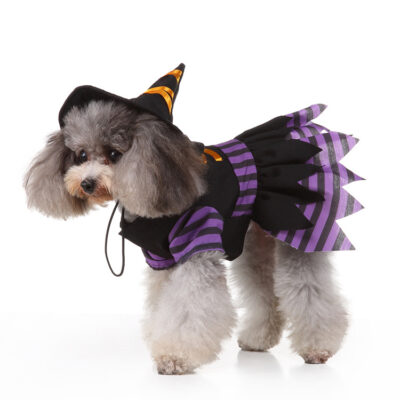 587621196 Christmas Pet Supplies Dog Clothes Halloween Weird Alternative Pet Clothes Personalized Costume Pet Clothes