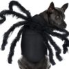 Halloween pet prop bat wings