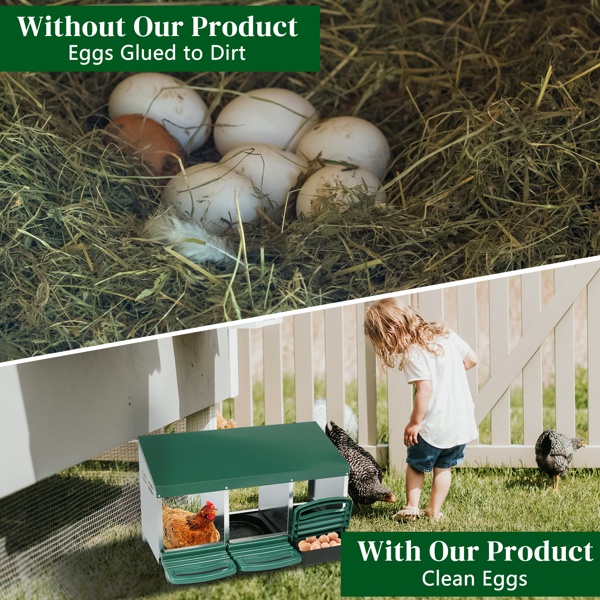 4cf1d98f-15f2-4b55-8e00-17644e9e4b6a.jpg 3 Compartment Roll Out Chicken Nesting Box With Plastic Basket, Egg Nest Box Chicken Laying Box Hens Chicken Coop Box, Green