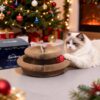 4e876e9a-7ccd-4aac-a9f3-eb5dd3d0143a.jpg 1 Pack Kitty Kurlz Cat Scratcher Toy Interactive For Indoor Cats