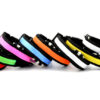 587814162 LED Pet Luminous Collar USB Charging Collar Teddy Luminous Neck Sleeve Small Large Dog And Cat Supplies