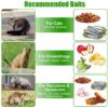 52500554-ed65-424d-9b19-d8c346310389.jpg 1Pc Humane Cat Trap Cage With Gloves Catch Release Live Animal Rodent Cage Collapsible Galvanized Wire For Raccoons Beavers Groundhogs Foxes Armadillos