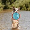 Paraflight Flying Disc Dog Toy  Water Floating Flyer Durable Nylon Construction With Soft Rubber Edges For Medium And Large Dogs