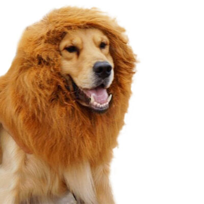 587692338 Pet transformation funny dog lion wig hat pet lion headgear