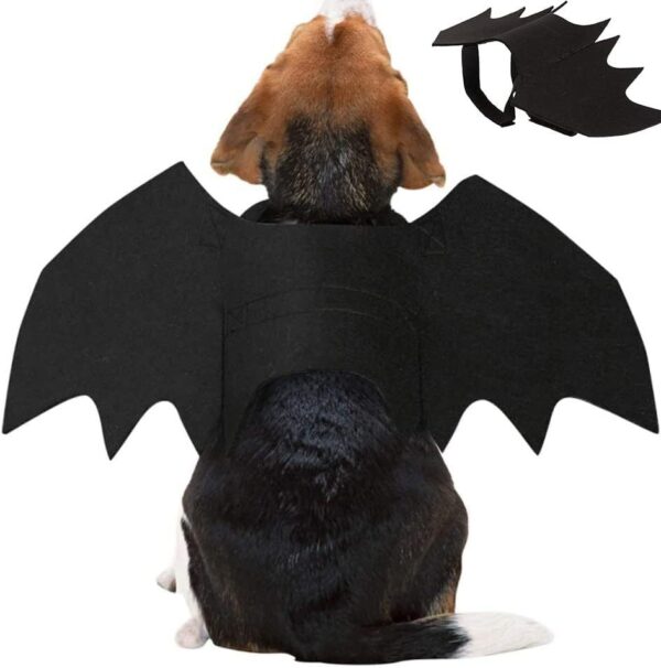 Halloween pet prop bat wings