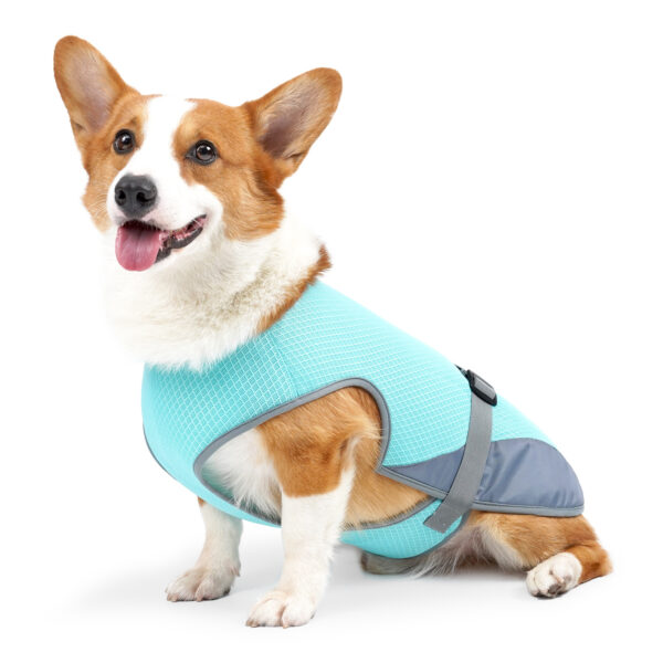 587620238 Pet Cooling Clothing Dog Clothing Pet Cooling Pet Supplies