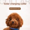 587639313 LED solar luminous collar charging flash collar Teddy luminous neck rope pet supplies dog collar accessories