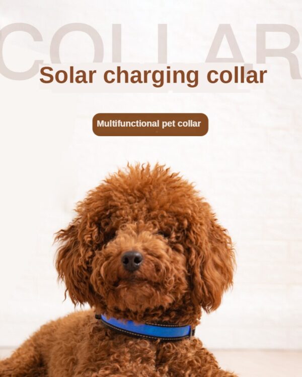 587639313 LED solar luminous collar charging flash collar Teddy luminous neck rope pet supplies dog collar accessories