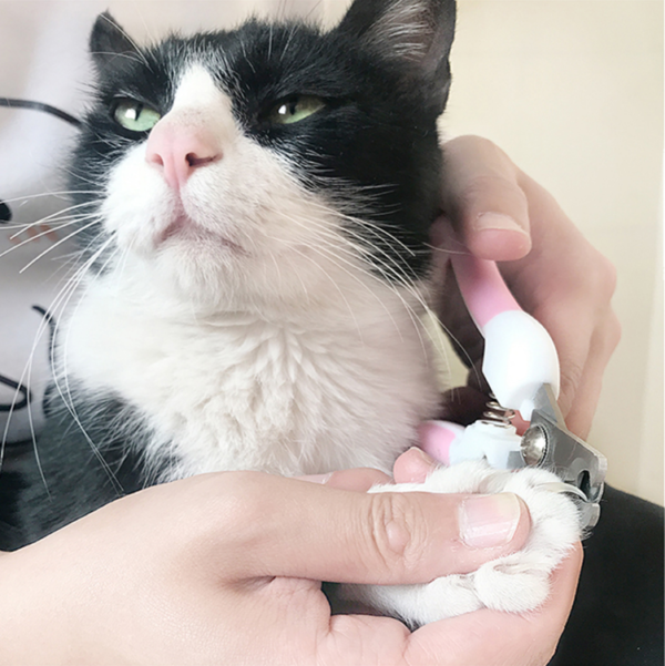 587690900 Professional Pet Nail Clippers Dog Cat Stainless Steel Two-color Labor-Saving Nail Clippers Convenient Beauty Cleaning Supplies
