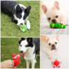 Pet Supplies Latex Starfish Lifebuoy Sound Series Puppy Teddy Medium and Large Dog Toys