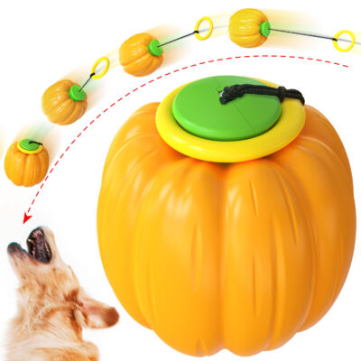 587638295 Pet Supplies Dog Molars Bite Resistant Ball Pumpkin Hand Throwing Elastic Toy Ball