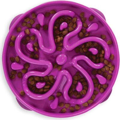 5b4368b3-a568-45f9-b3fe-904c78708884.jpg Hound Feeder Slo Bowl Large 4 Cup Capacity, Slow Feeding, Medium To Large Dogs, Non Slip, Purple, Flower Pattern