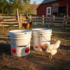 5e6a1fda-31e1-4454-9d5f-731ff6f46582.jpg Durable Chicken Feeder Rain Proof Poultry Feeder Port Gravity Feed Kit For Buckets, Barrels, Bins, Troughs, Easy Clean - 6 Pack With Hole Saw For Easy Installation