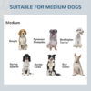 60035251-cb0d-4f4a-b717-e4542b07bc97.jpg Double Stainless Steel Heavy Duty Dog Food Bowl Elevated Pet Feeding Station