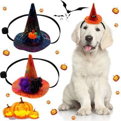 587638155 Halloween Spider Web Witch Hat Elastic Hair with Pet Supplies Dog Cat Pumpkin Bat Hat Hair Accessories