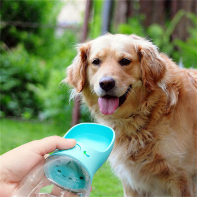 62500649-b2ad-4a95-9882-d4a09eefbb85.jpg Pet Water Cup Outdoor Portable Water Bottle