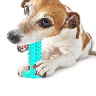 587638890 Suction Cup Sound Dog Toy Bite Resistant Molar Stick Dog Toothbrush Pet Supplies