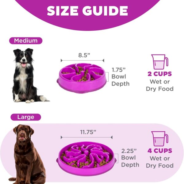 6833c04d-8326-4e69-b3c2-3d661a10eaad.jpg Hound Feeder Slo Bowl Large 4 Cup Capacity, Slow Feeding, Medium To Large Dogs, Non Slip, Purple, Flower Pattern