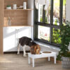 695f8ad0-2a3b-4e81-994c-da05c1cb9d24.jpg 23" Wooden Heavy Duty Dog Food Bowls Pet Elevated Feeding Station -White