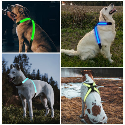 587637209 Pet supplies: explosion - proof, flushable, 8 - gear, color - changing LED, chest braces, clothes and collars with traction.