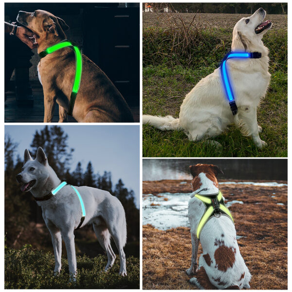 587637209 Pet supplies: explosion - proof, flushable, 8 - gear, color - changing LED, chest braces, clothes and collars with traction.