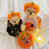 587639797 Pet Cat Dog Pumpkin Cat Hat Halloween Ghost Festival Decoration Headwear Supplies