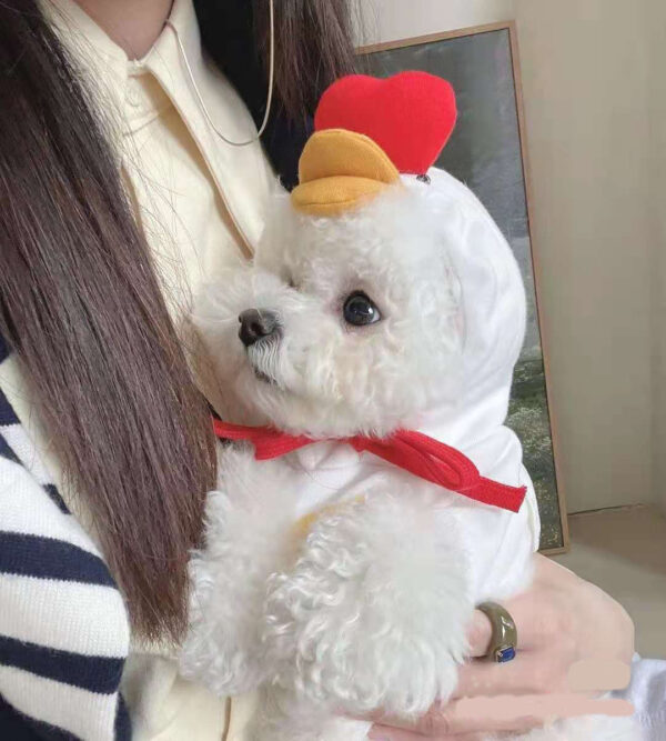 587690106 Chick Transformed Dog Cat Small Medium-Sized Dog Autumn And Winter Sweatshirt Scratch Pet Clothes Supplies Teddy Fighting Bichon