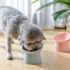 Cat Pet Supplies High Cat Bowl Dog Bowl To Protect The Cervical Spine Cat Feeding Bowl Slant Mouth Drinking Pet Bowl